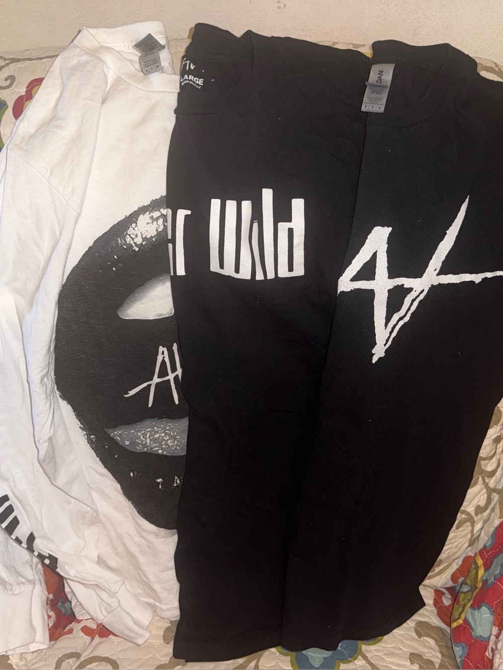 Amber Wild Shirt Lot